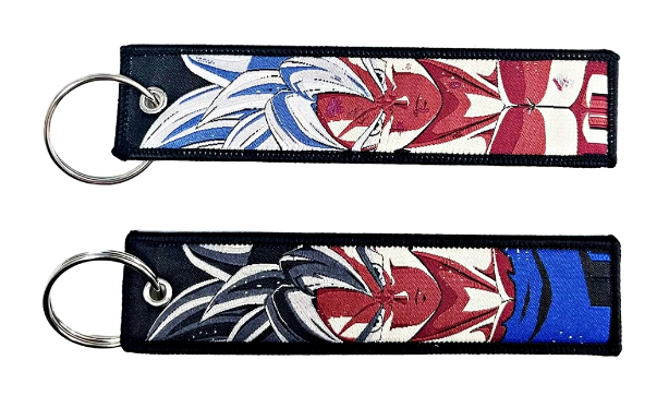 Ultra Instinct Goku Jettag